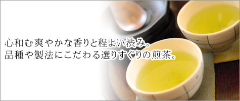 こだわりの品種茶や製法にこだわった様々な煎茶を販売しております。